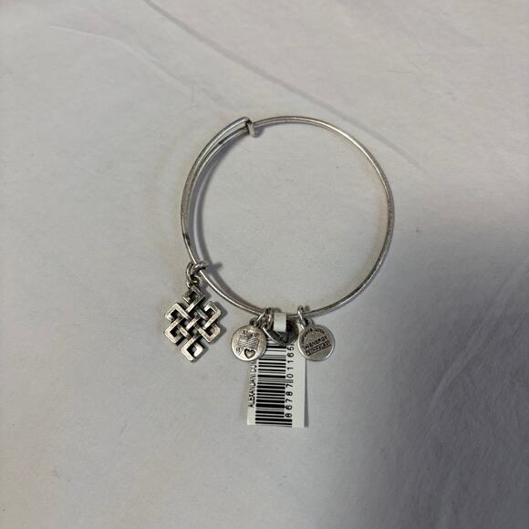 NWT Alex + Ani silver bracelet. (+)energy.  Endless knot - Picture 3 of 5